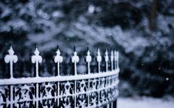 Fence Snowflakes Winter