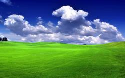 green field hd desktop wallpapers free download nature images
