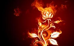 Fire Wallpaper Image Picture High Resolution