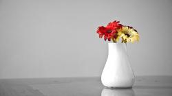 Flower Pot Images 28 HD Wallpapers