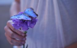Flower Purple Butterfly Girl Mood