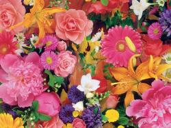 Terrific Flowers Wallpapers