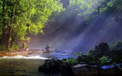Cool Fly Fishing Wallpaper 8566