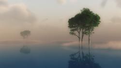 Best Fog with Reflection HD Wallpaper