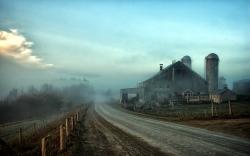 Foggy farmstead