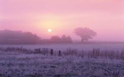DOWNLOAD: Foggy Sunrise free background 2560 x 1600