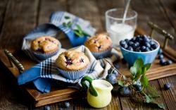 Food Muffins Blueberry Berry
