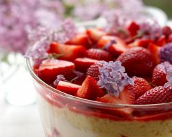 Fruit Strawberry Food Wallpapers and photos