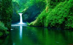 Waterfall Forest Background