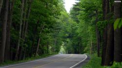 Beautiful-wallpapers-Forest Road -wallpaper