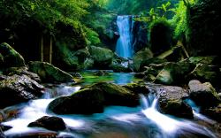 Forest Waterfall HD wallpapers