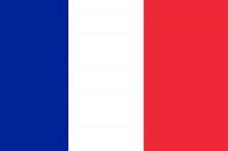 Variant flag of France