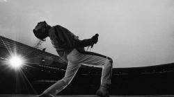 View And Download Freddie Mercury HD Wallpapers ...