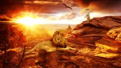 Free Wallpapers Lion in The Desert Africa Wallpaper 1920x1080px