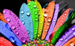 ... Colorful Wallpapers HD ...