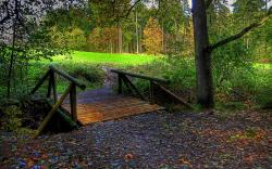 HD Wallpapers Autumn Free Wallpaper - Bridge To The Forest