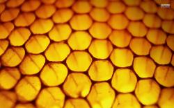 Honeycomb wallpaper 1680x1050
