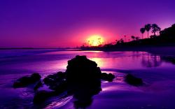 Nature Landscapes Widewallpaper Purple Sunset Wallpaper