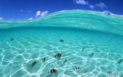 Free Nature wallpaper - Clear Water And Blue Sky 2 wallpaper - 1280x800 wallpaper - Index
