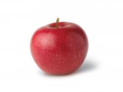Red Fresh Apple (click to view)