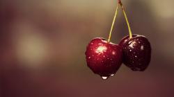 Fruits Cherries Drops Water Green Stems HD Wallpaper