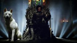Jon Snow on the Iron Throne with Ghost (Game of Thrones)