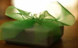 Gift Box Ribbon Bow Green