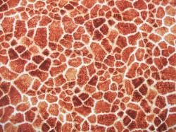 Wilmington Wildside Giraffe Skin Spots Safari Africa Cotton Fabric 1 Yard