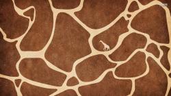 Giraffe Skin HD wallpapers