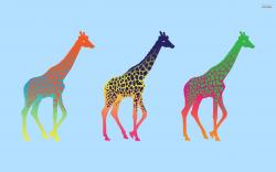 Giraffe wallpaper