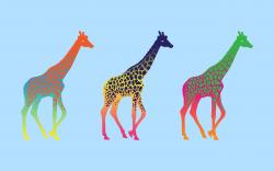 Giraffes Color Art