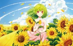Girl Sunflowers Summer Anime