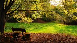 Park Bench Wallpapers 14648