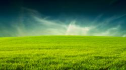 Amusing Grass Wallpaper Sky Space Images 1920x1080px