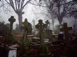 Misty Graveyard