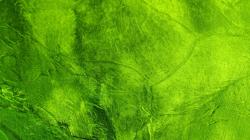 Green Wallpaper 354 Widescreen Nature