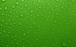 Green water drops HQ Wallpaper