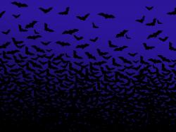 Halloween Bats Wallpaper 41537 1600x1200 px