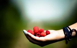 Hand Raspberries Berries Mood