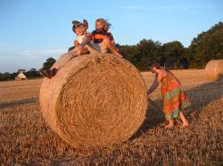 Their children seem to agree with The FourteenYearOld that during the summer, there is nothing, absolutely nothing, better than messing about on a hay bale!