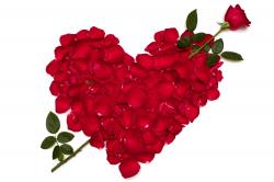 ... Love Roses Heart Red Petals Flowers Wallpaper 2000×1333