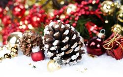 Download the following Wonderful Pinecone Wallpaper 2834 by clicking the button positioned underneath the "Download Wallpaper" section.