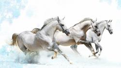 horse art beautiful painting