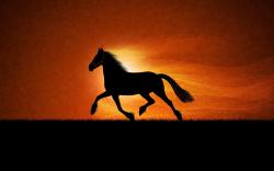 Horse Sunrise Art