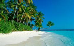 The Cook Islands truly are a tropical paradise. Click the photo for the image source