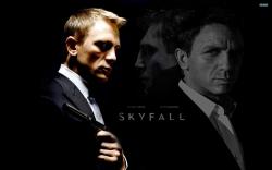 James Bond - Skyfall wallpaper 2880x1800 jpg