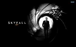 James Bond - Skyfall wallpaper 1920x1200
