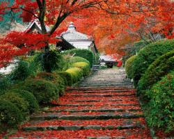 Wallpaper Tags: autumn stairways japanese garden stairs