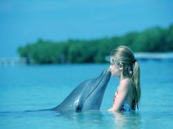 Kid Dolphin Kiss