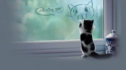 cat meme quote funny humor grumpy kitten sad love mood wallpaper background